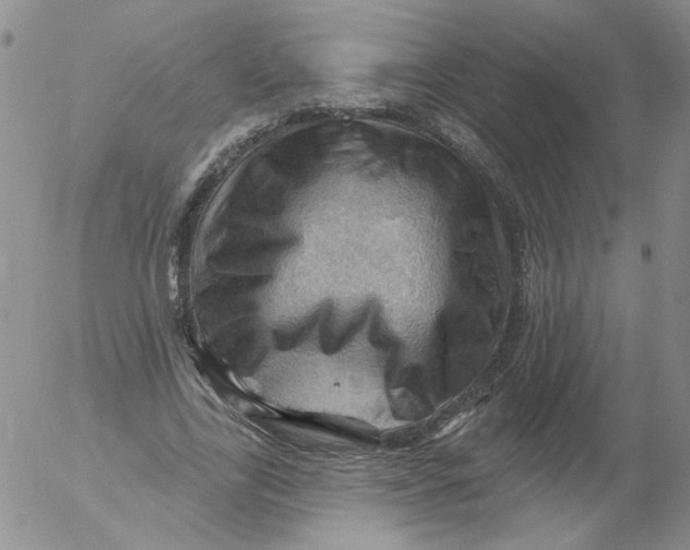 X0000053080731200508012005