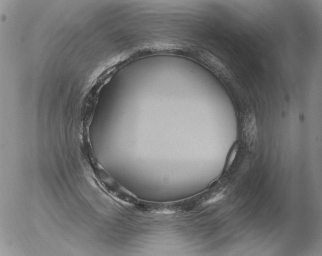 X0000053080732200508012005