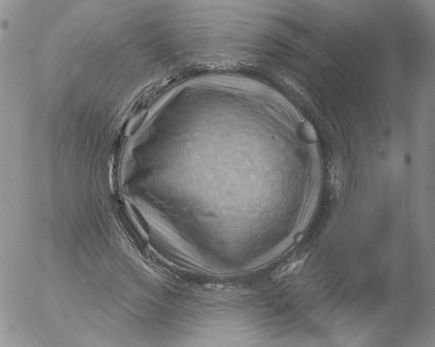 X0000053080733200508012005