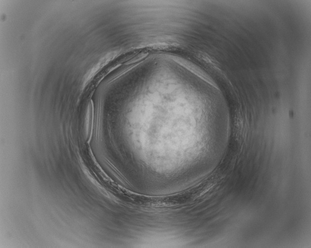 X0000053080734200508012005