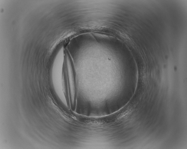 X0000053080735200508012005