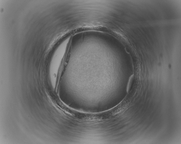 X0000053080736200508012005