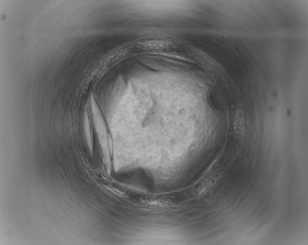 X0000053080737200508012005