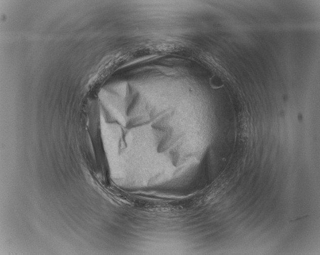 X0000053080738200508012005