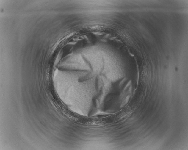 X0000053080739200508012005