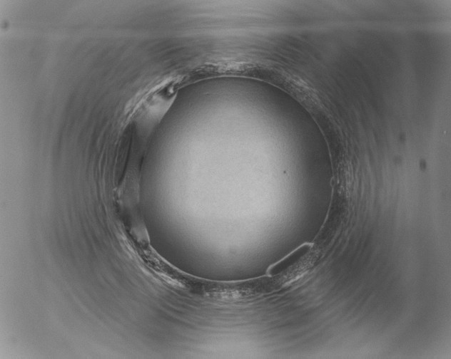 X0000053080740200508012005