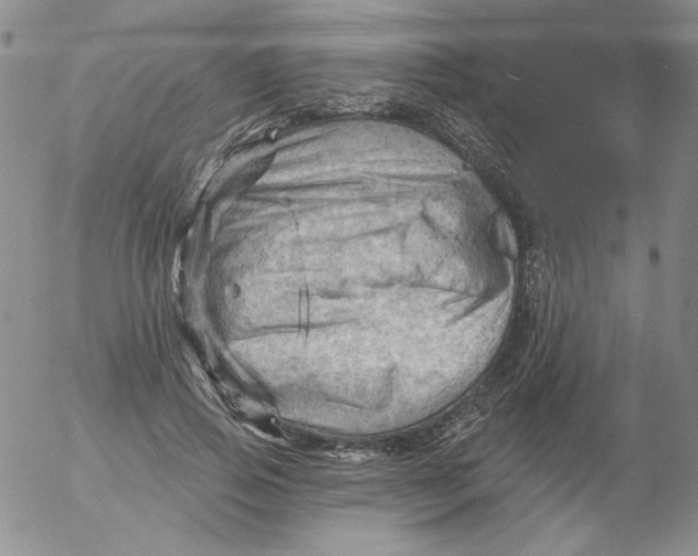 X0000053080741200508012005