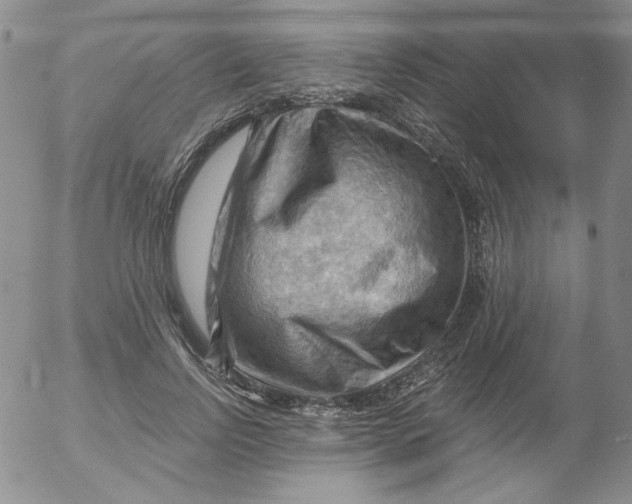 X0000053080742200508012005