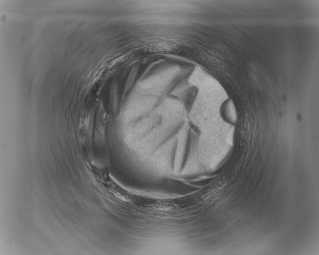 X0000053080743200508012005