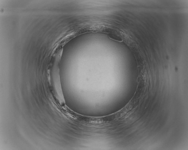 X0000053080744200508012005