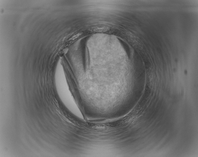 X0000053080745200508012006