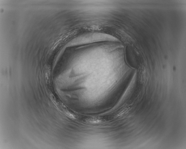 X0000053080747200508012006