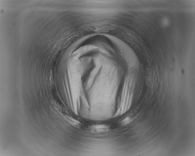 X0000053080748200508012006