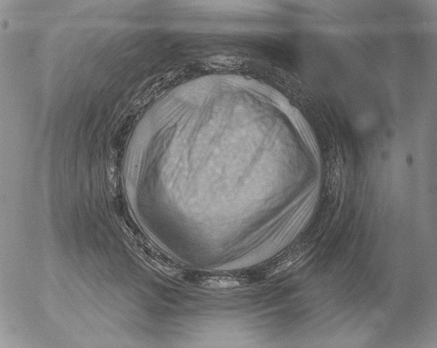 X0000053080749200508012006