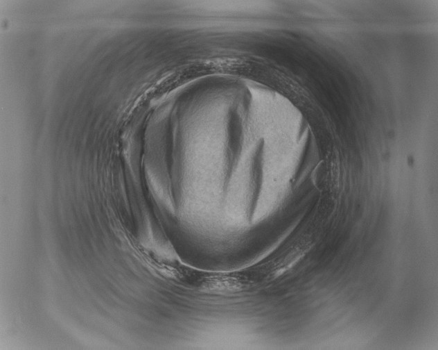 X0000053080750200508012006