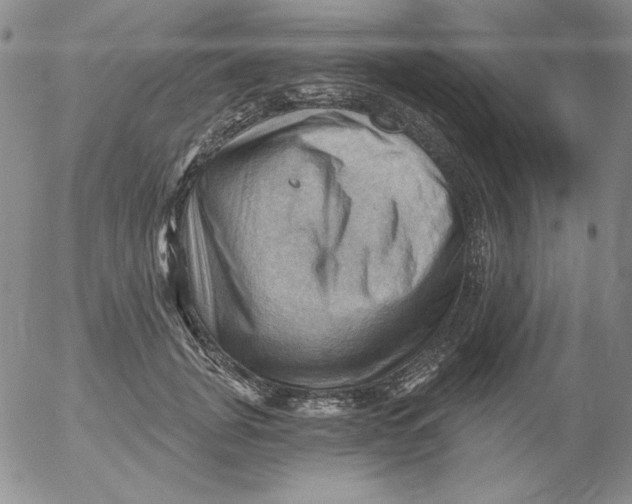 X0000053080751200508012006