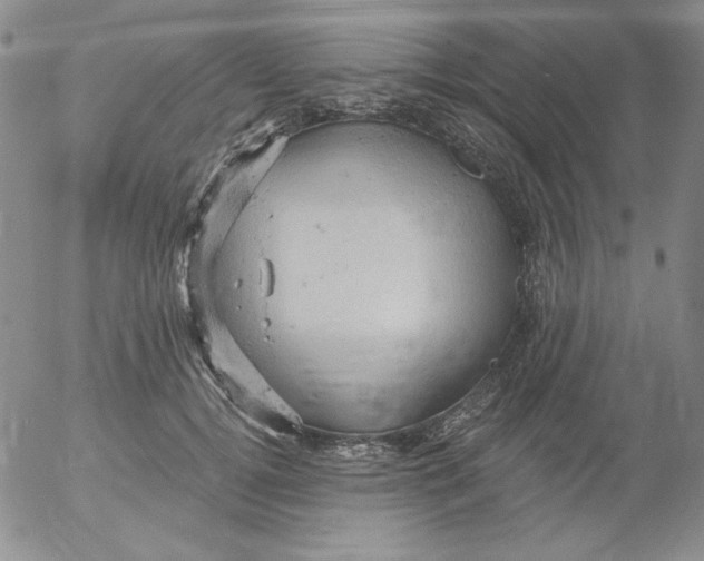 X0000053080752200508012006