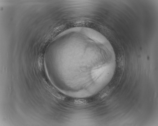 X0000053080753200508012006