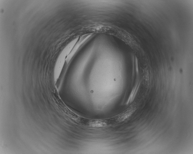 X0000053080754200508012006