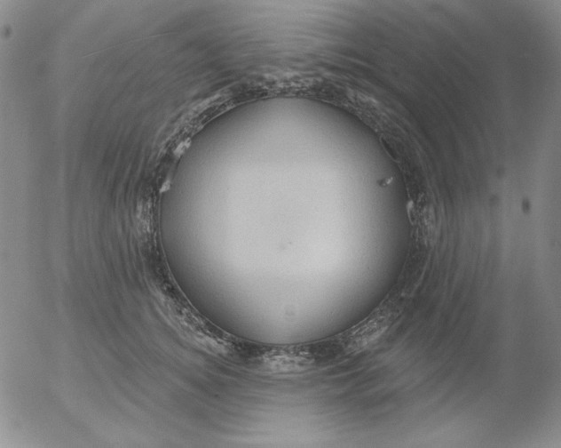 X0000053080756200508012006