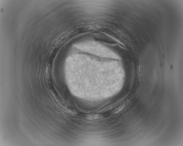 X0000053080757200508012006