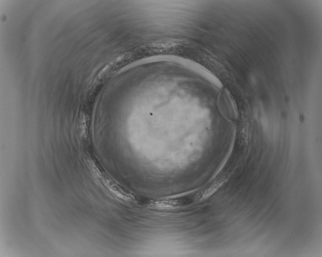 X0000053080758200508012006