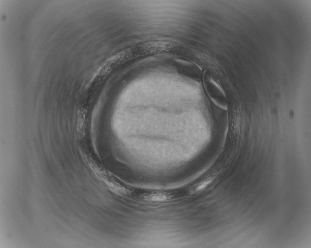 X0000053080759200508012006