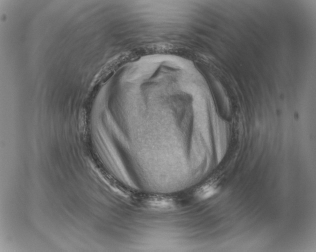 X0000053080760200508012006