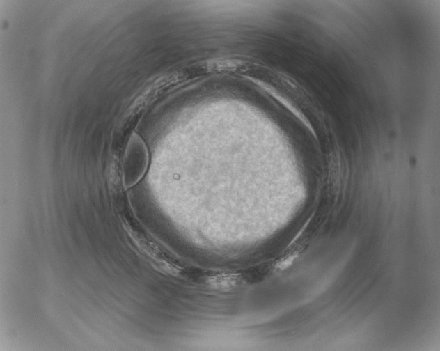 X0000053080761200508012006