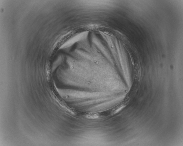 X0000053080762200508012006