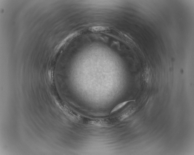 X0000053080763200508012006