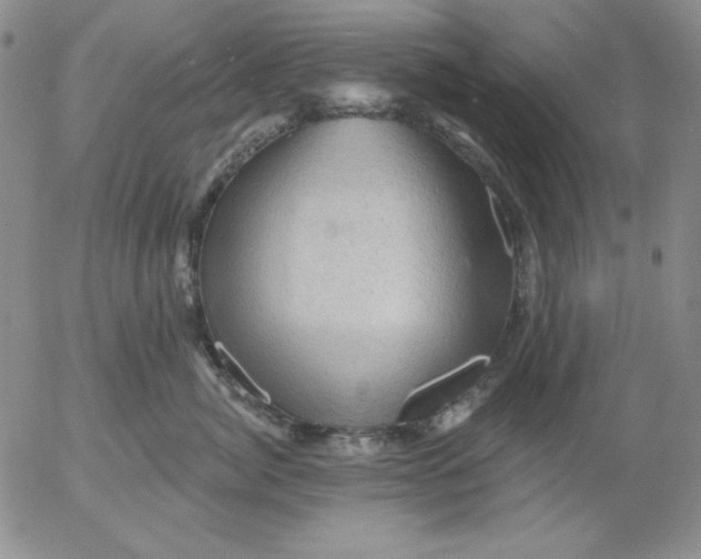 X0000053080764200508012006