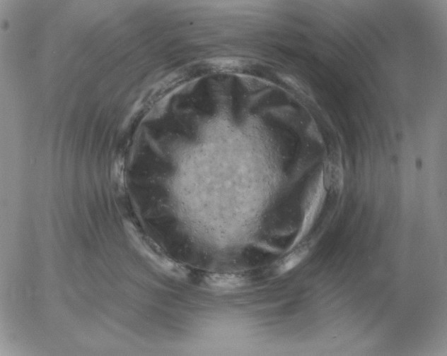 X0000053080766200508012006