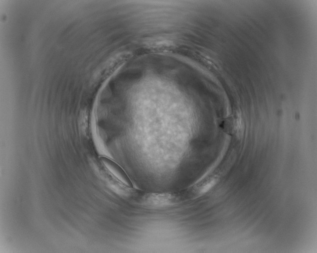 X0000053080767200508012006