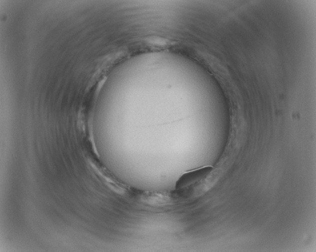 X0000053080768200508012006