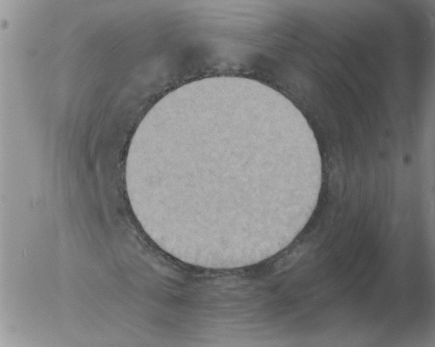 X0000053080769200508012005