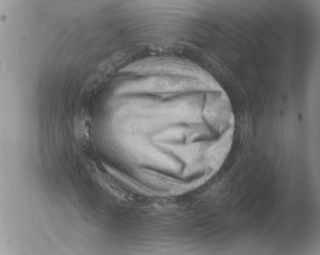 X0000053080770200508012005