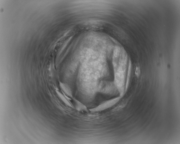 X0000053080771200508012005