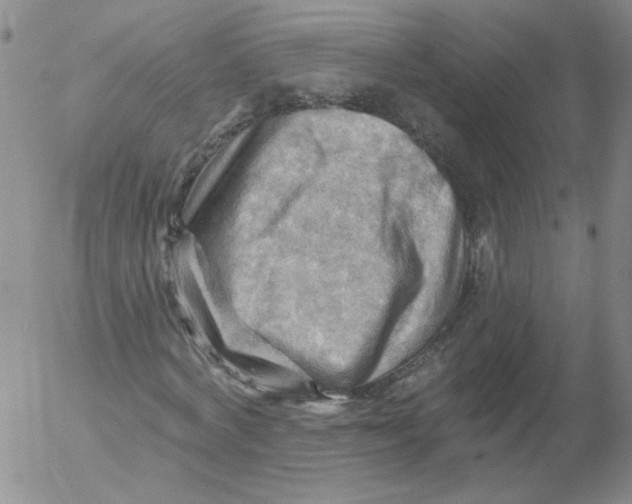 X0000053080772200508012005