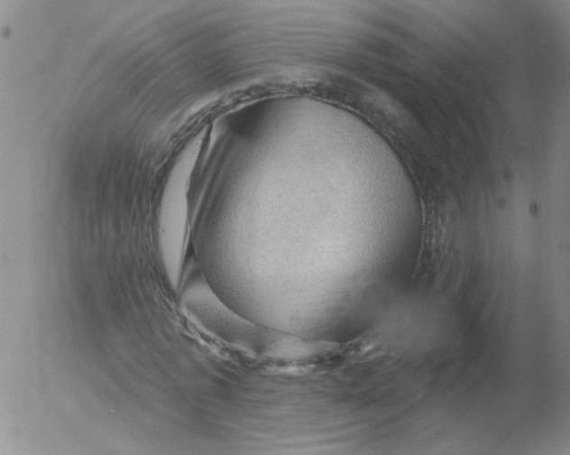 X0000053080773200508012005