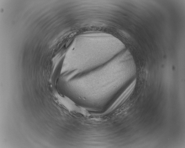 X0000053080774200508012005