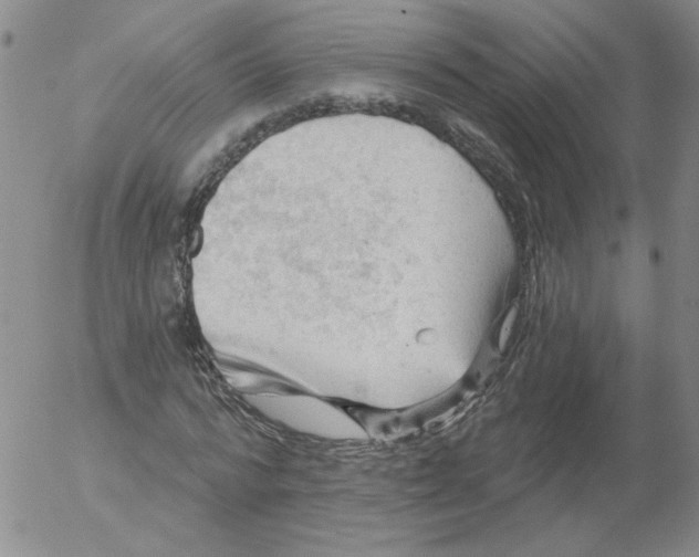 X0000053080776200508012005