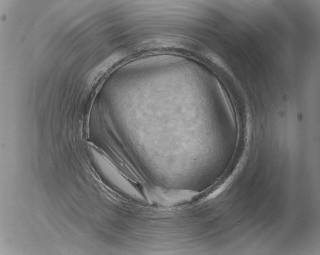 X0000053080777200508012005