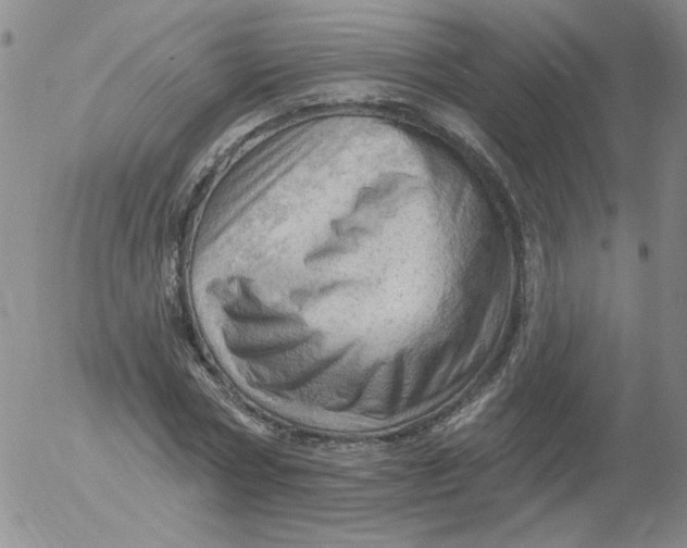 X0000053080778200508012005