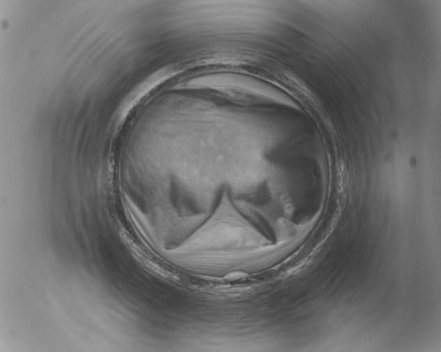 X0000053080779200508012005