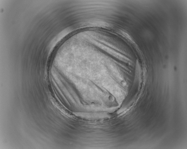 X0000053080780200508012005