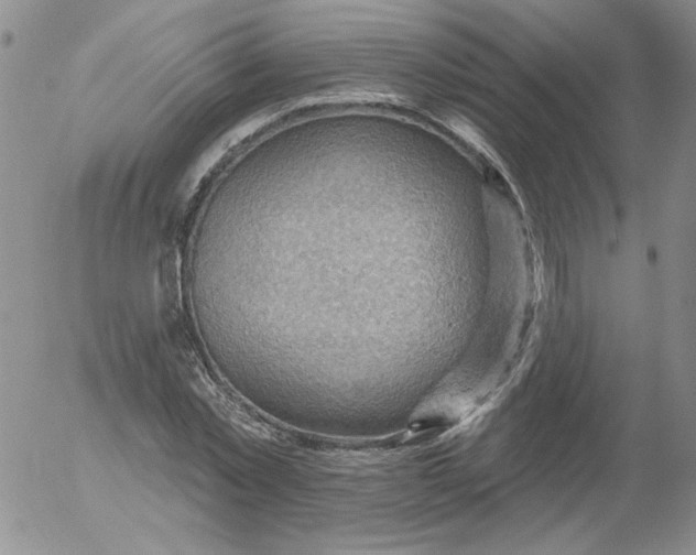 X0000053080781200508012005