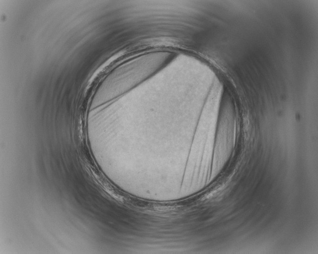 X0000053080782200508012005