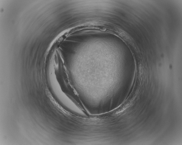 X0000053080784200508012005