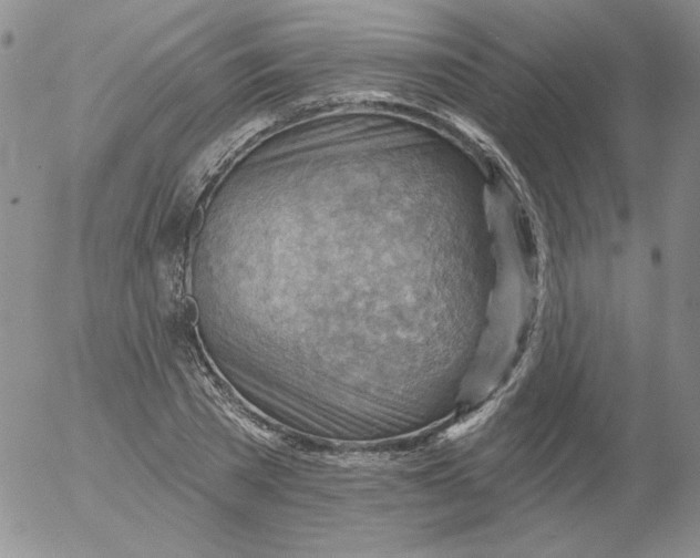 X0000053080785200508012005